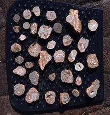 Mineralien Sammlung Achat Nesselhof Edelsteine Wassersteine Heilsteine