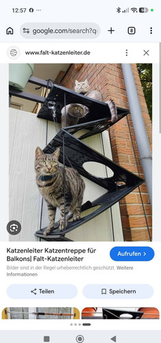 Falt katzenleiter kletterwand - falt-katzenleiter,