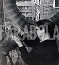 Altes Pressefoto Großbritannien, London, Nestchen Von Drosseln Auf Einem Besen,