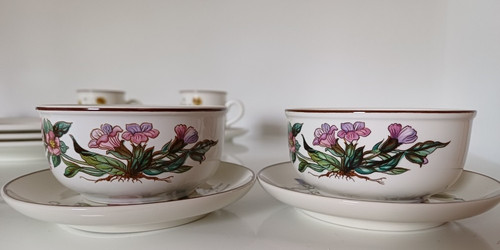 Villeroy boch botanica - &,
