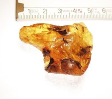 Herrlicher, baltischer