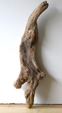Treibholz Schwemmholz