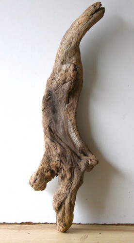 Treibholz schwemmholz - treibholz,