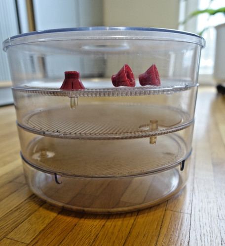 Bio snacky keimgerät mit buch - bio,