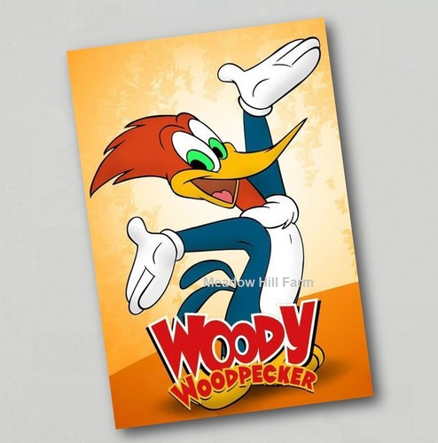 Aufkleber woody woodpecker - aufkleber,