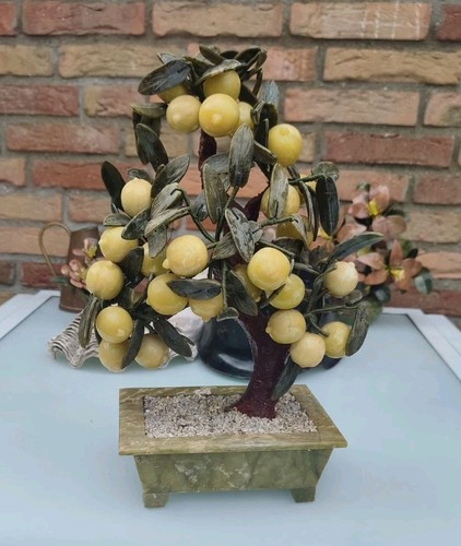 Blühender bonsai baum aus - bonsai-baum,