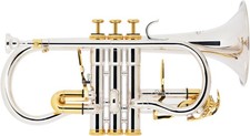Eb Kornett Cornet versilbert Mundstück Gigbag Zubehör Messing Horn Brass Perinet