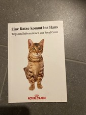 Royal Canin Eine Katze Kommt Ins Haus - Tipps Und Informationen