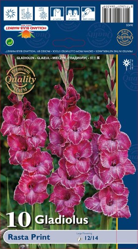 Gladiolen - @,