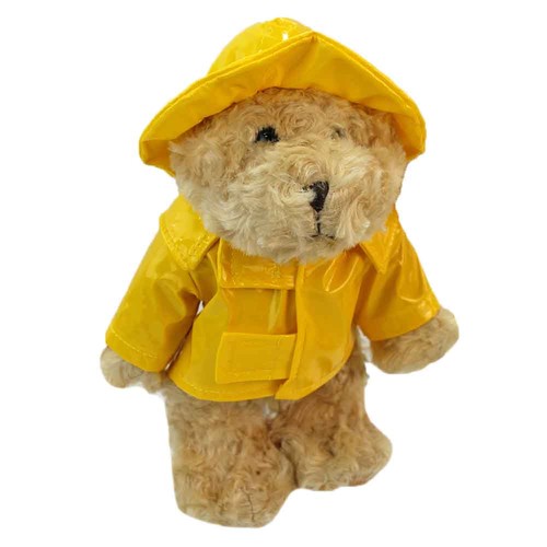 Teddy mit regenjacke 23 - teddy, ca.