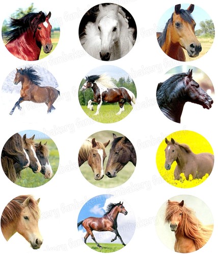 Pferd pony tortenbild party - pferd,