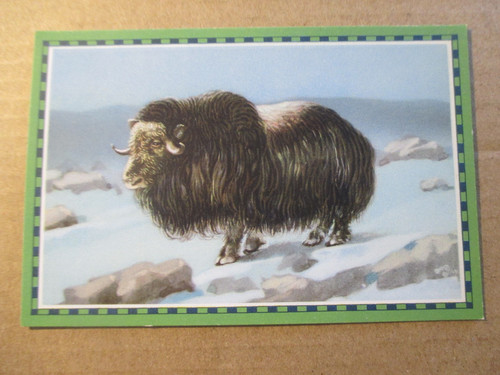 Bild chlorodont - 1.bild,