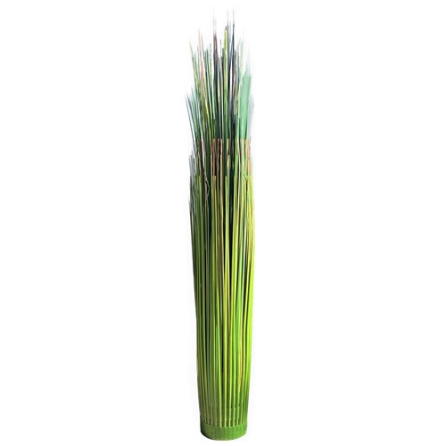 Grasbund grasbusch 48cm - grasbund,