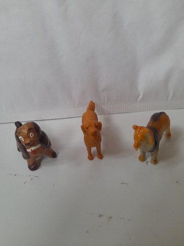 Golden labrador retriever hund - golden,