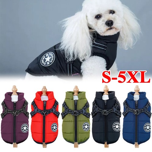 Hundeweste hund winter warm - winter,