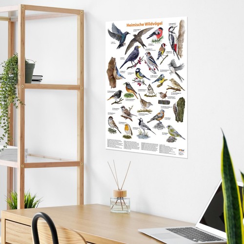 Großes vogel poster - großes,