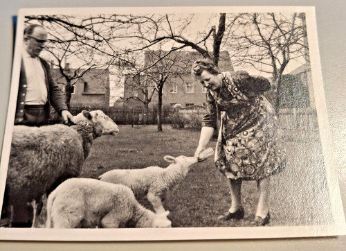 Altes foto vintage - altes,
