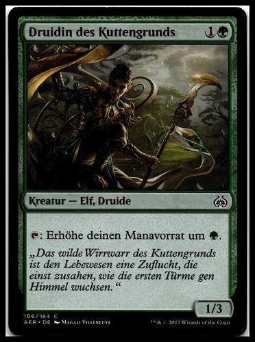 Druidin des kuttengrunds - des,