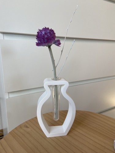 Vase mit reagenzglas - vase,