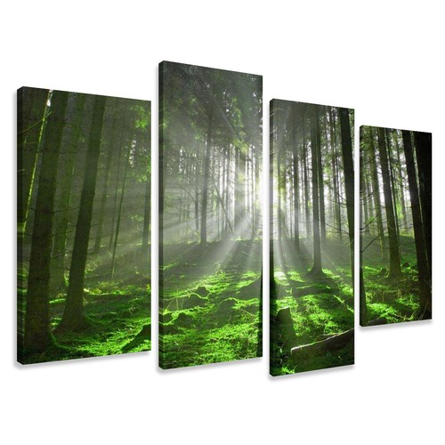Waldlichtung kunstdruck auf - waldlichtung,