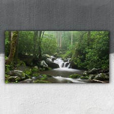 Wasserfall Landschaft Wald