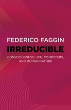 Federico Faggin Irreducible