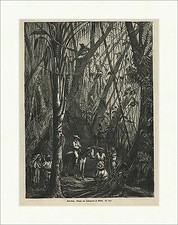 Gruppe von Insurgenten im Walde Cuba Aufstand Strategie Holzstich E 19467