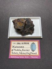 Kakoxen, Thekla, Revier Zobes, Vogtland, Sachsen