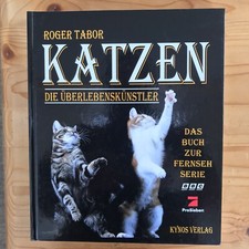 Katzen Die