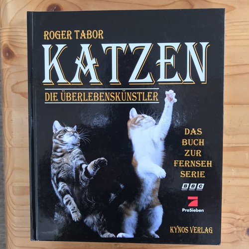 Katzen die - katzen,