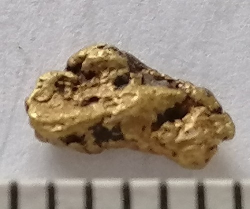 Goldnugget barren gold - goldnugget,