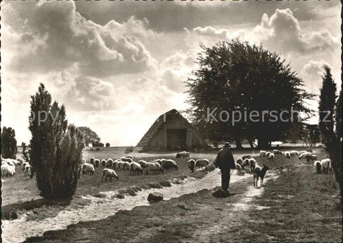 Wilsede lueneburger heide - wilsede,