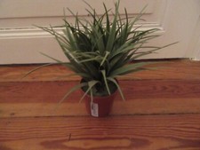 1 Kunstpflanze IKEA Topf ca. 9 cm hoch Grün ca. 18 cm hoch