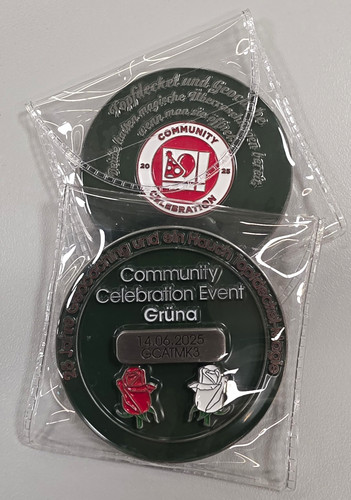 Community celebration event - community,
