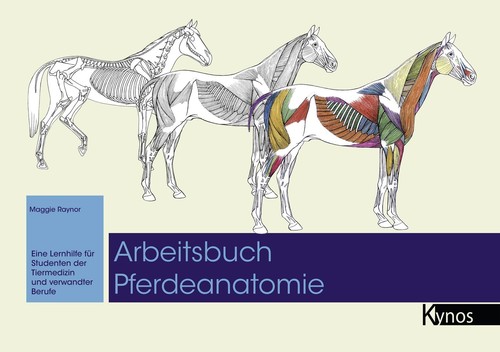 Arbeitsbuch pferdeanatomie - arbeitsbuch,