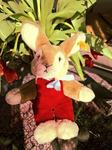 Hase steiff 124716 - steiff,