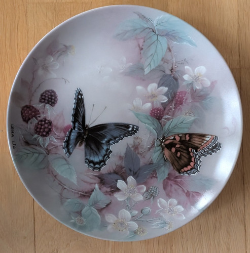 Bradex schmetterling - bradex,