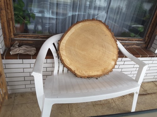 Holzscheibe eiche 50cm - eiche,