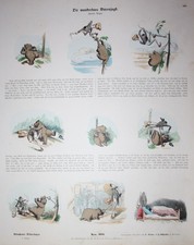 Bärenjagd Bär Bear Braunbär