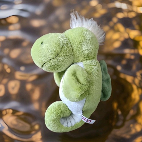 Nici seepferdchen - nici,