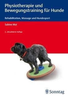 Physiotherapie und