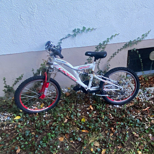 Orbis tiger mtb fs - orbis, 20