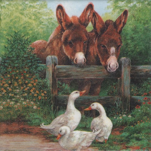 Dekobild esel zaun enten - dekobild,