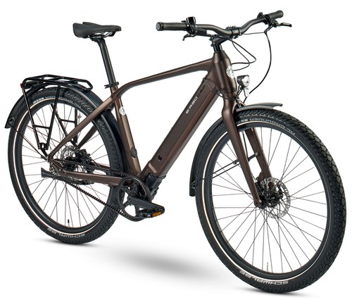 Elektrofahrrad 36v 10ah - 36v,