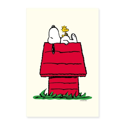 Peanuts snoopy woodstock und - peanuts,