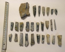 Fossilienfragmente Belemniten