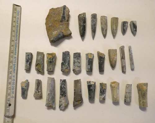 Fossilienfragmente belemniten - fossilienfragmente,