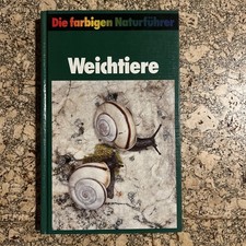 Weichtiere - Die farbigen
