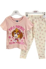 paw patrol skye pup tastic