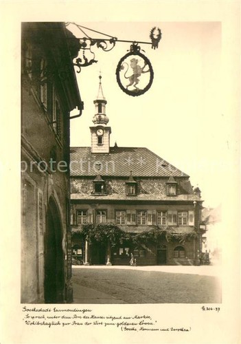 Emmendingen wirtshausschild - emmendingen,